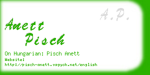 anett pisch business card